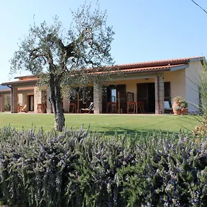 Il Vecchio Mandorlo Castiglione della Pescaia