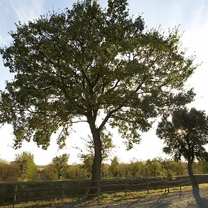 Lucerna Del Prile Castiglione della Pescaia